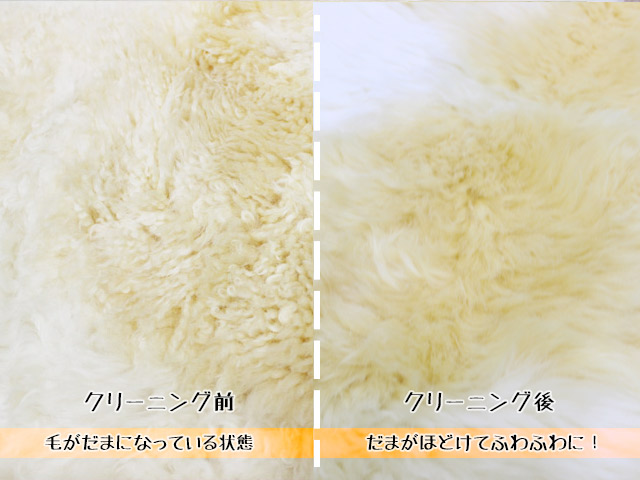 クリーニング前と後の比較