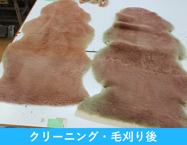 ムートンクリーニングと毛刈り後