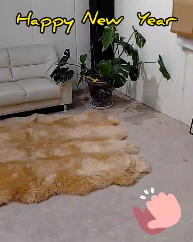 今季おススメ ムートンスリッパ - ムートン専門店が教えるムートンのお話