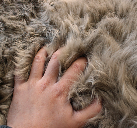 AUSKIN 長毛ムートンフリース プレミアムレーベル 2匹物 60×185