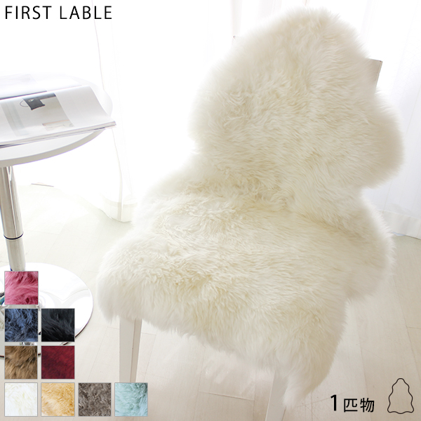 ファースト　1匹物